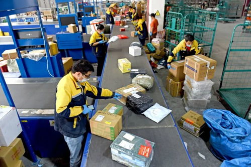 23條政策舉措出臺 優化互聯網接入及相關服務，促進行業高質量發展